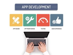web app vs mobile app in development